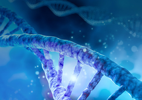 GenBuilder? DNA Assembly