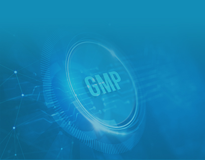 GMP級磁珠