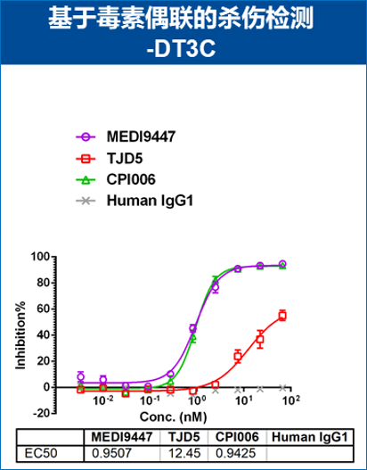 CHO-K1/CD73(貨號: RD00783）細胞上內化以及殺傷評估
