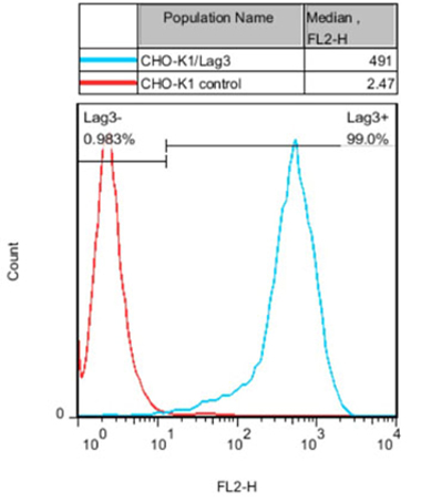 CHO-K1/Lag3(貨號: M00532）細胞上Lag3的FACS 分析