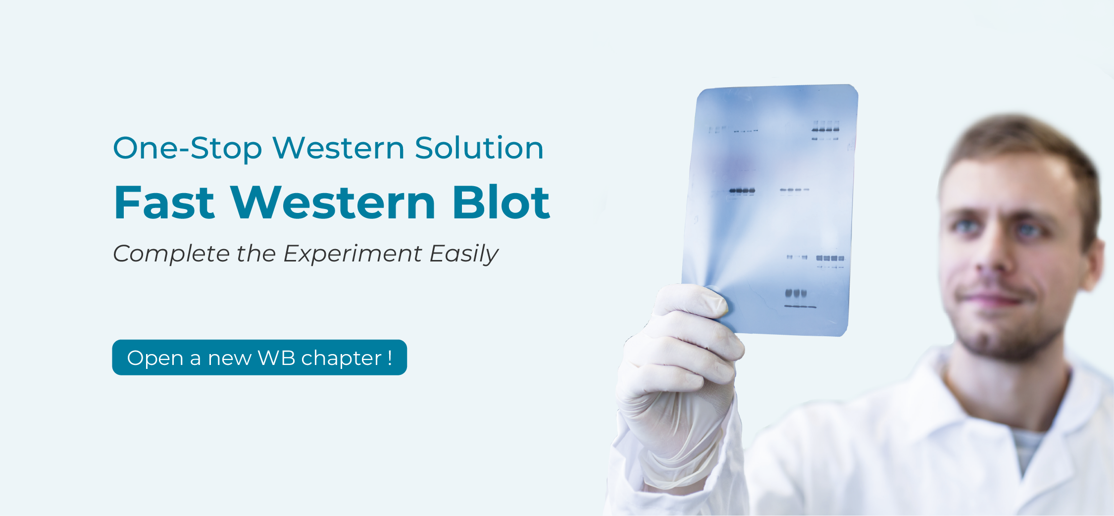 western Blot