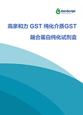 高親和力 GST純化介質 GST 融合蛋白純化試劑盒