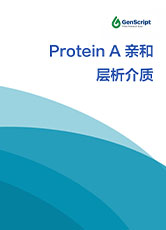 Protein A 親和層析介質(zhì)