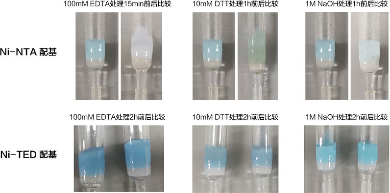 Ni-NTA和Ni-TED耐受化學試劑的對比實驗