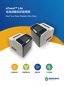 eZwest? Lite全自動蛋白印跡系統(tǒng)