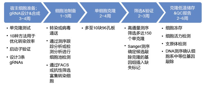 GenCRISPR?工作流程