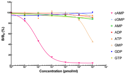 cAMP Antibody, cGMP Antibody cAMP Antibody, cGMP Antibody