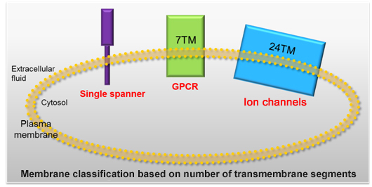 Membrane Proteins