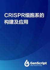 CRISPR細胞系的構建及應用