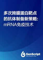 多次跨膜蛋白靶點的抗體制備新策略：mRNA免疫技術