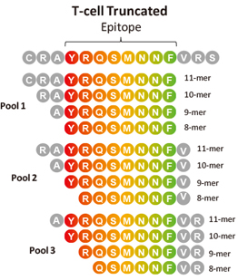 Overlap Library