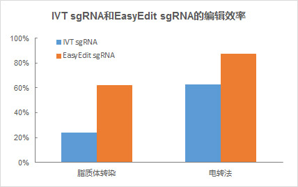 EasyEdit sgRNA編輯效率更高