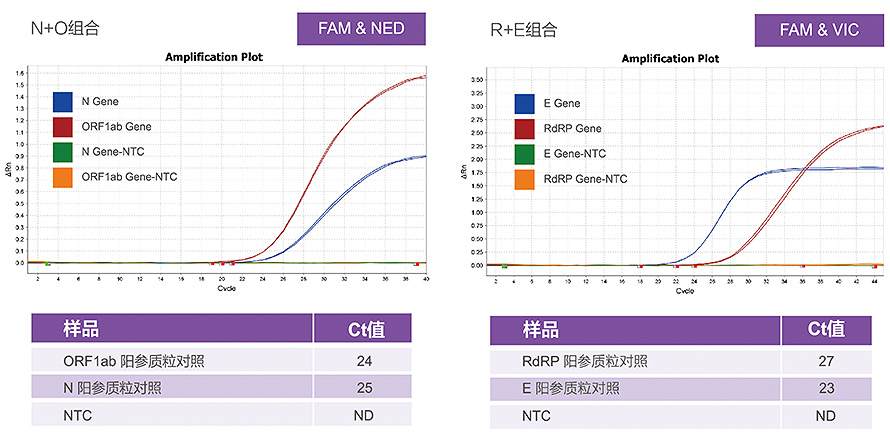 多重PCR檢測