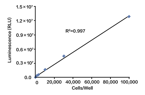 對(duì)轉(zhuǎn)染螢火蟲熒光素酶報(bào)告基因的HeLa細(xì)胞的檢測(cè)效果