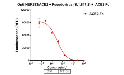 ACE2-Fc顯著抑制Delta突變株假病毒侵染細胞