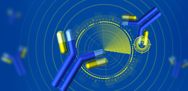 抗獨(dú)特型抗體開發(fā)策略和難點(diǎn)解析