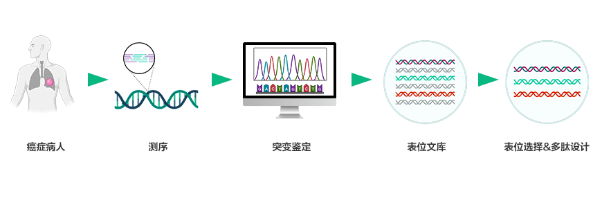 腫瘤研究