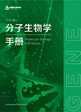 分子生物學(xué)手冊(cè) 分子生物學(xué)手冊(cè)
