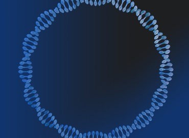 CRISPR gRNA文庫