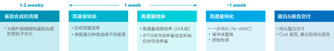 T7 RNA聚合酶篩選 (高通量)