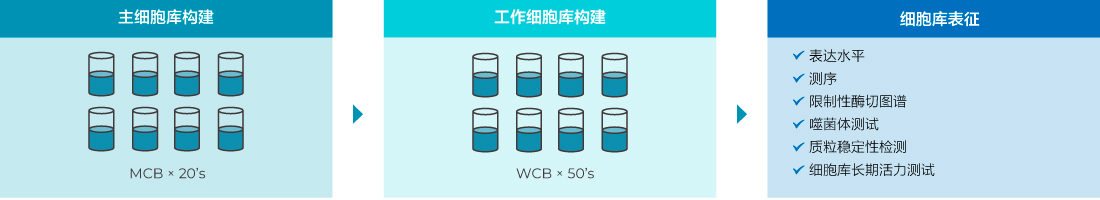 用于基因編輯的X酶
