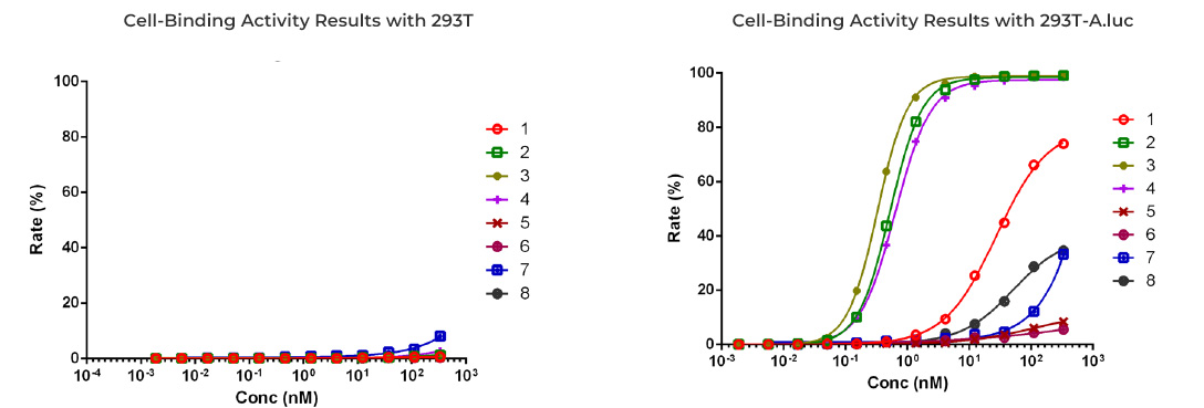 Anti-Idiotypic Antibody Application