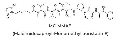 Anti-Idiotypic Antibody Application