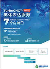 TurboCHO? 抗體表達服務