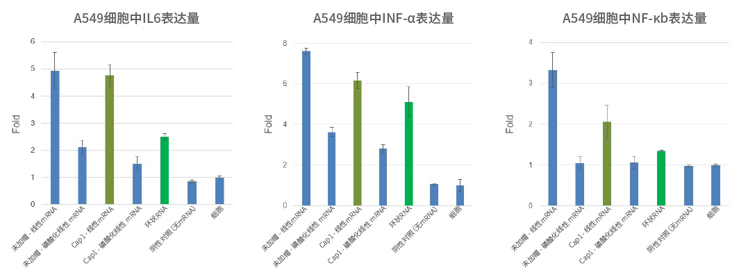 環(huán)狀RNA較之添加Cap1的線性mRNA，免疫原性更低