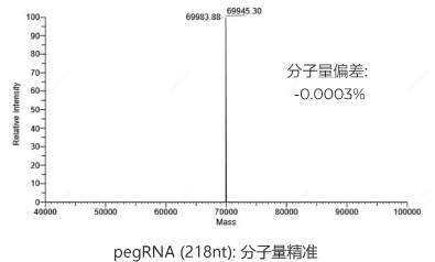 HPLC純化的pegRNA (218nt)：分子量精準