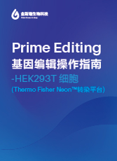 Prime Editing 基因編輯操作指南 - HEK293T細胞