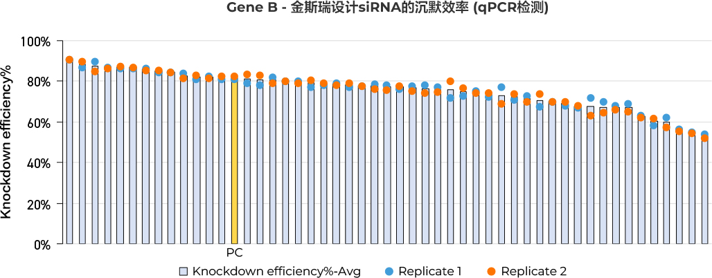 金斯瑞設計siRNA的沉默效率