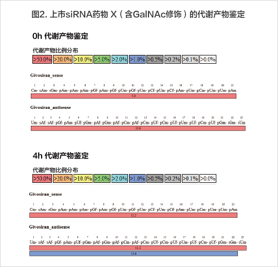 4h后鑒定代謝產物