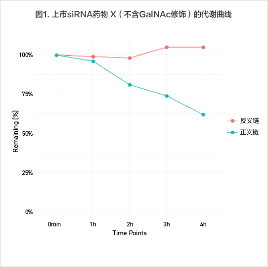 反義鏈未發生代謝