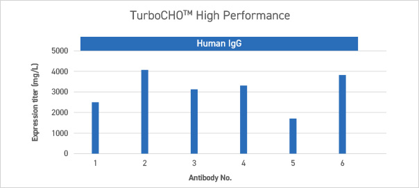 High expression titers in mAbs.