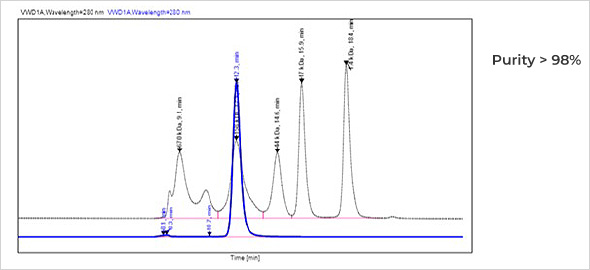 SEC HPLC analysis