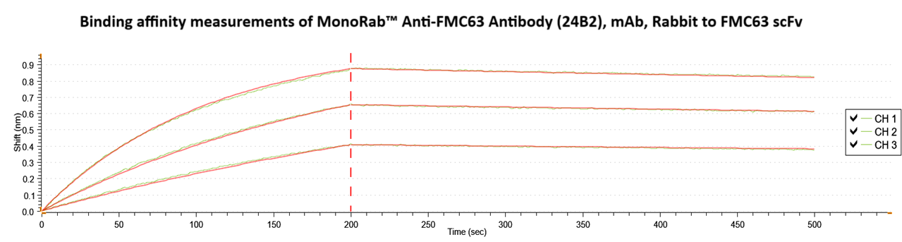 MonoRab? Anti-FMC63 Antibody (24B2), MAb, Rabbit MonoRab? Anti-FMC63 Antibody (24B2), MAb, Rabbit