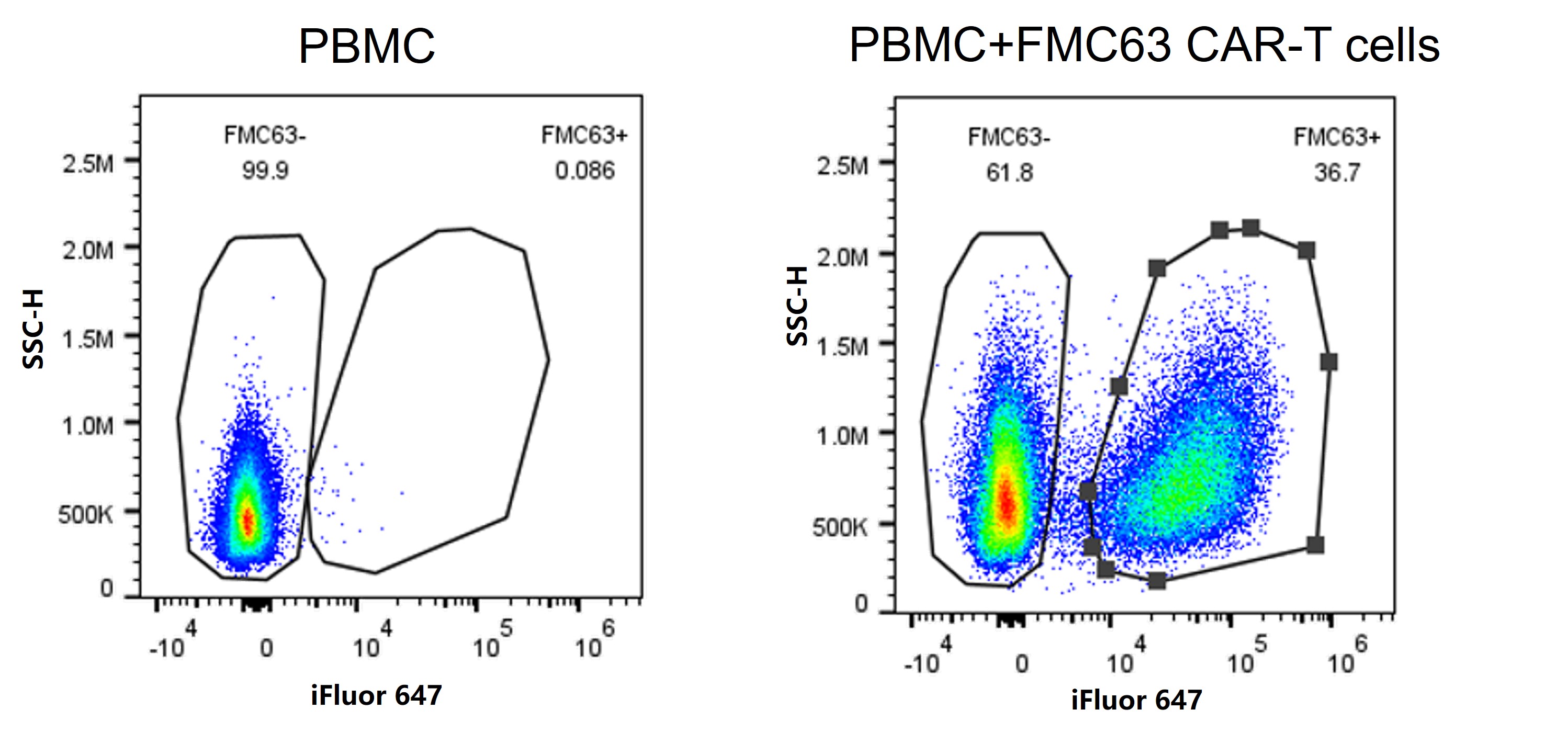 MonoRab? Anti-FMC63 Antibody (24B2), MAb, Rabbit MonoRab? Anti-FMC63 Antibody (24B2), MAb, Rabbit