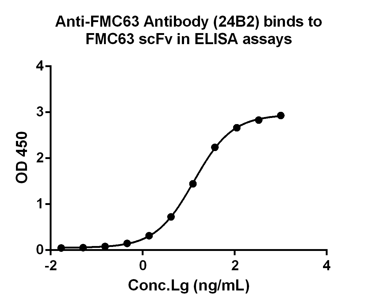 MonoRab? Anti-FMC63 Antibody (24B2), MAb, Rabbit MonoRab? Anti-FMC63 Antibody (24B2), MAb, Rabbit