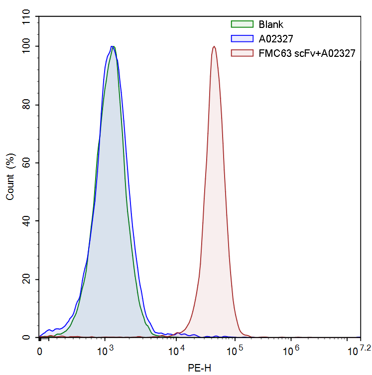 MonoRab? Anti-FMC63 Antibody (24B2), MAb, Rabbit MonoRab? Anti-FMC63 Antibody (24B2), MAb, Rabbit