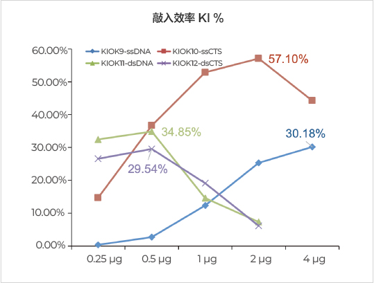 TRAC位點敲入效率高達54